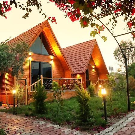 Begonvil Bungalow Apart Demre 1 외부 사진